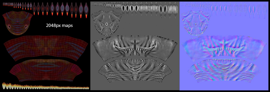 finalWeb_maps.jpg