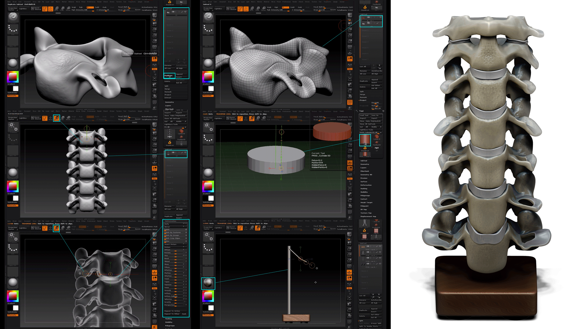 Cervical-Spine-C3-to-C7-Sculpt.png