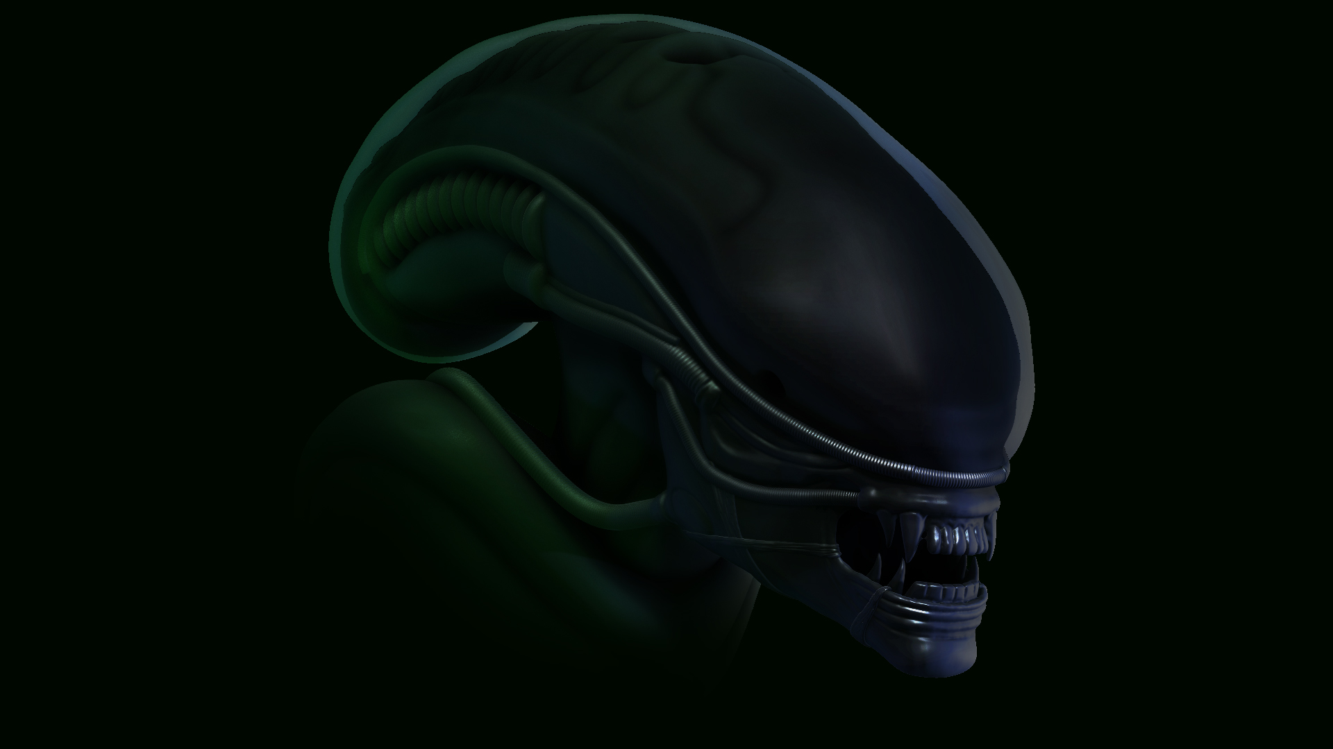 Head_Part_01.jpg
