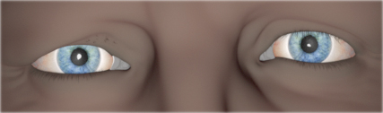 eye.jpg