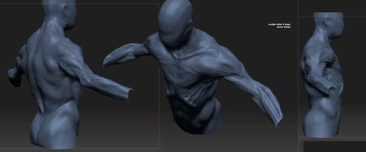 beesub_WIP_sD.jpg