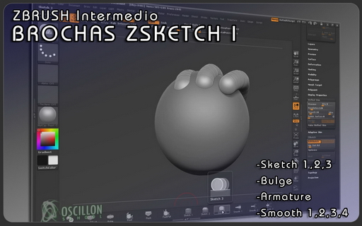 LO_INTRO_II.MEDIO_01_ZSKBRS1.jpg