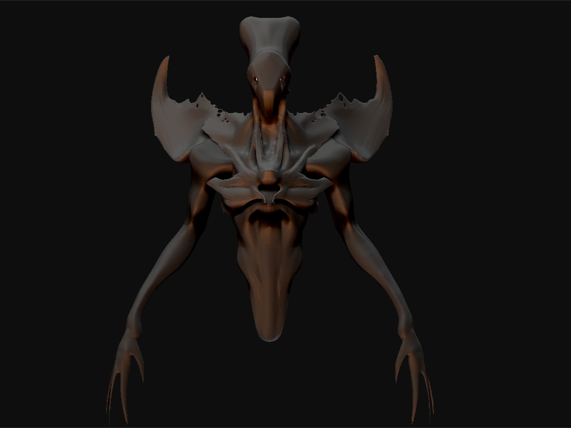 bird_shadow_003.jpg