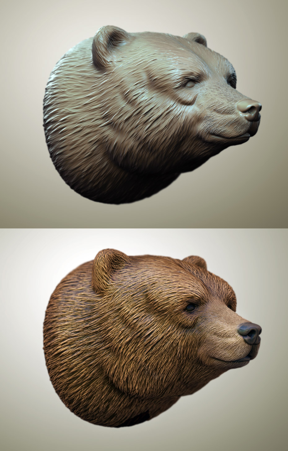 BearBust.jpg
