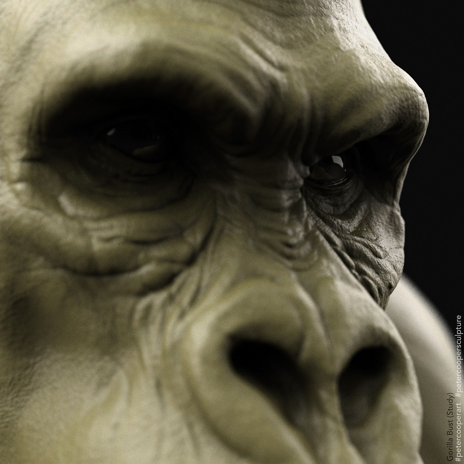 ZBC_03_Gorilla Test_FRONT DOF_Green.jpg