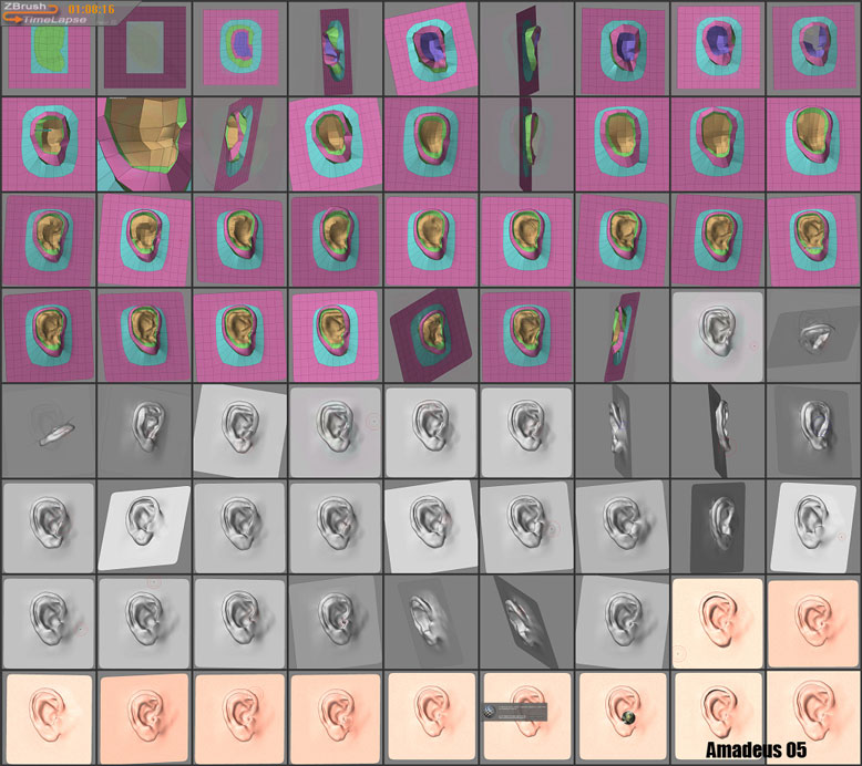 EAR.ZTimeLapseImagesm.jpg