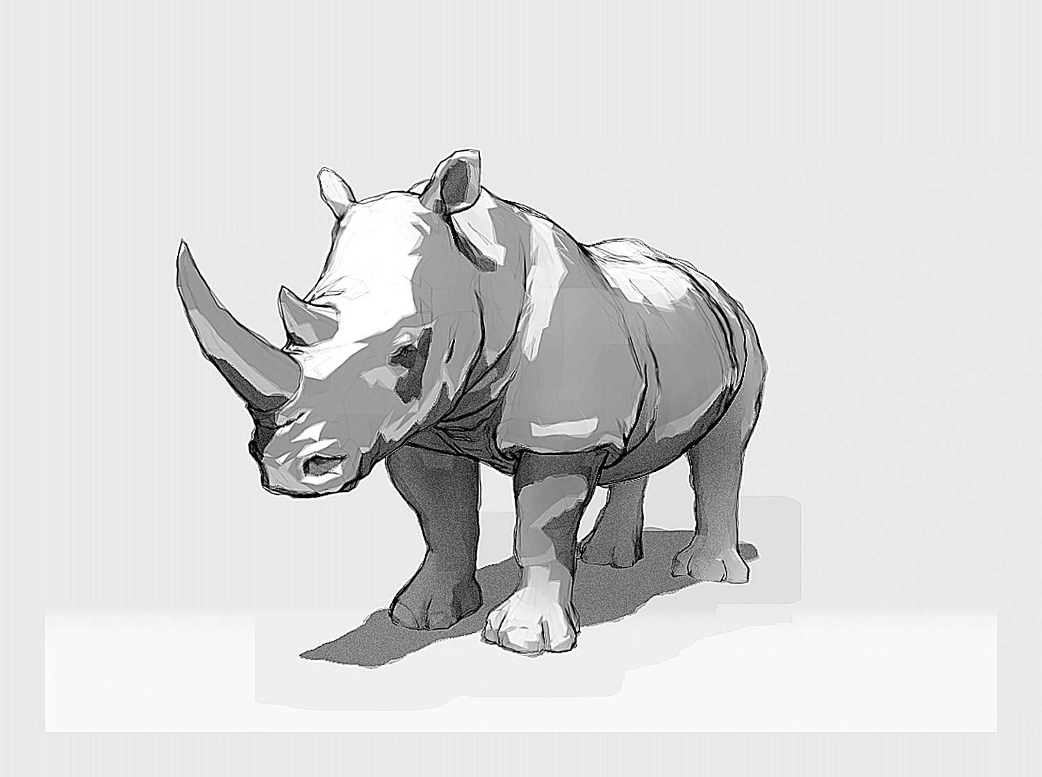Rhino-NPR.jpg