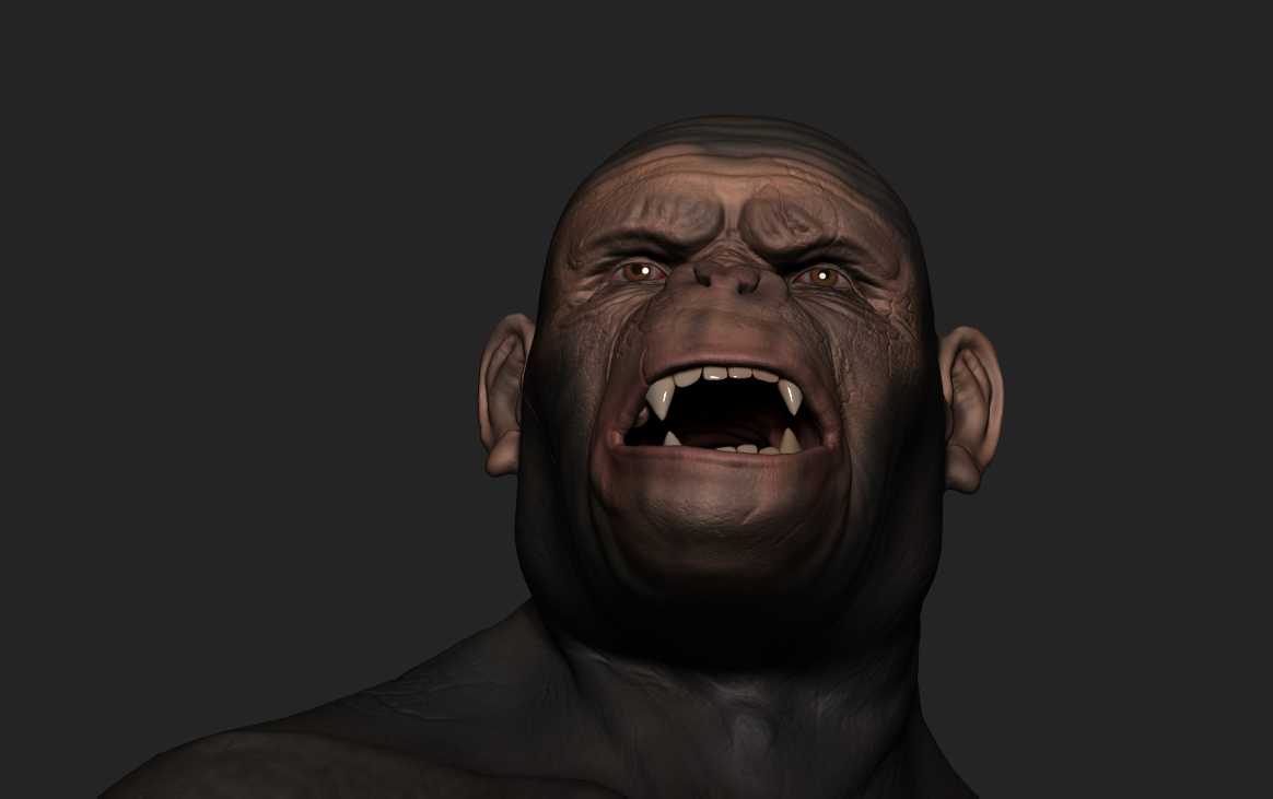 Ape_1.jpg