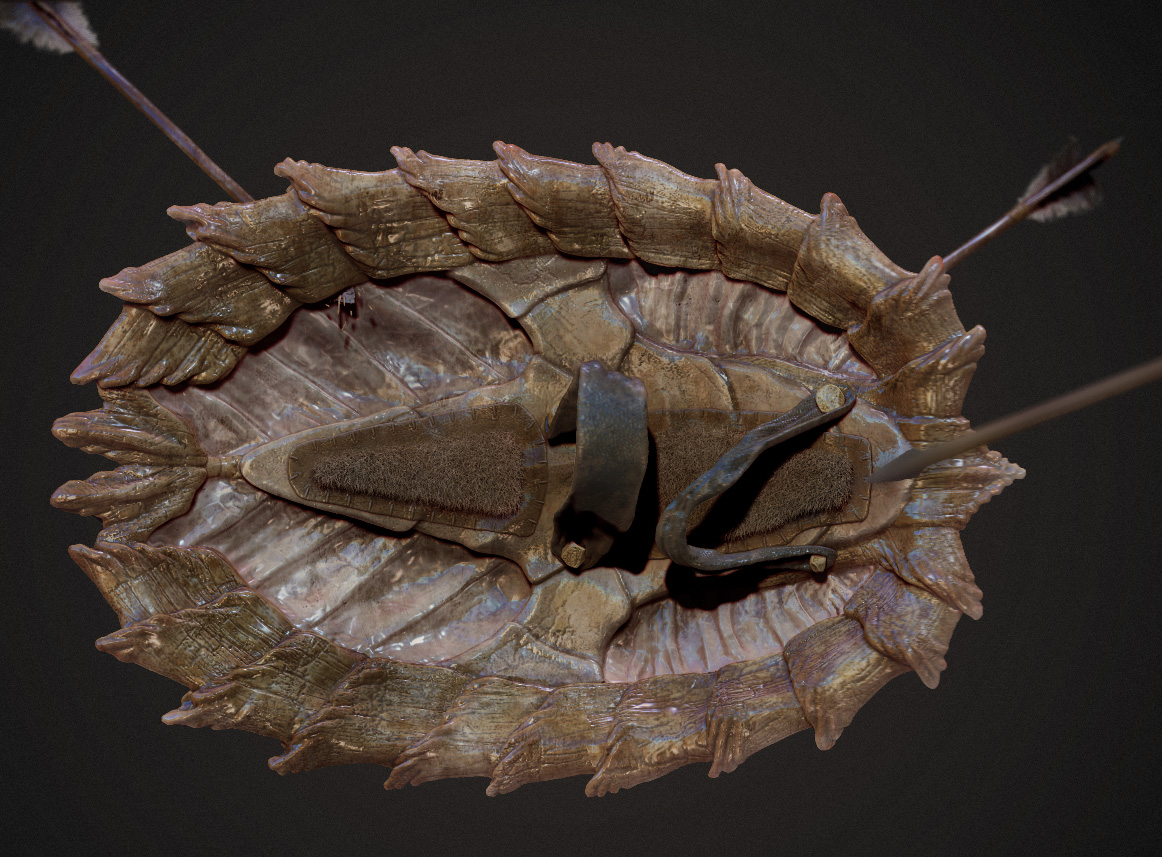 shield2.jpg