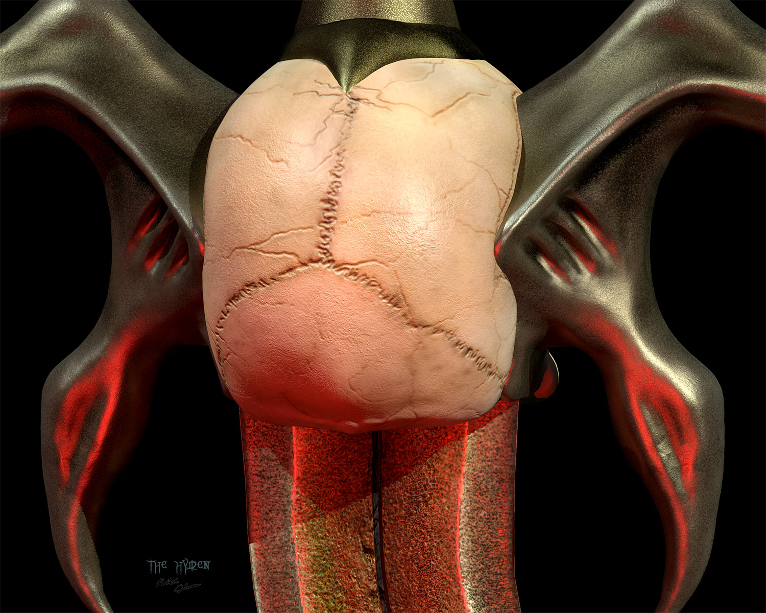 Reaver-fully-aged-closeup-back.jpg
