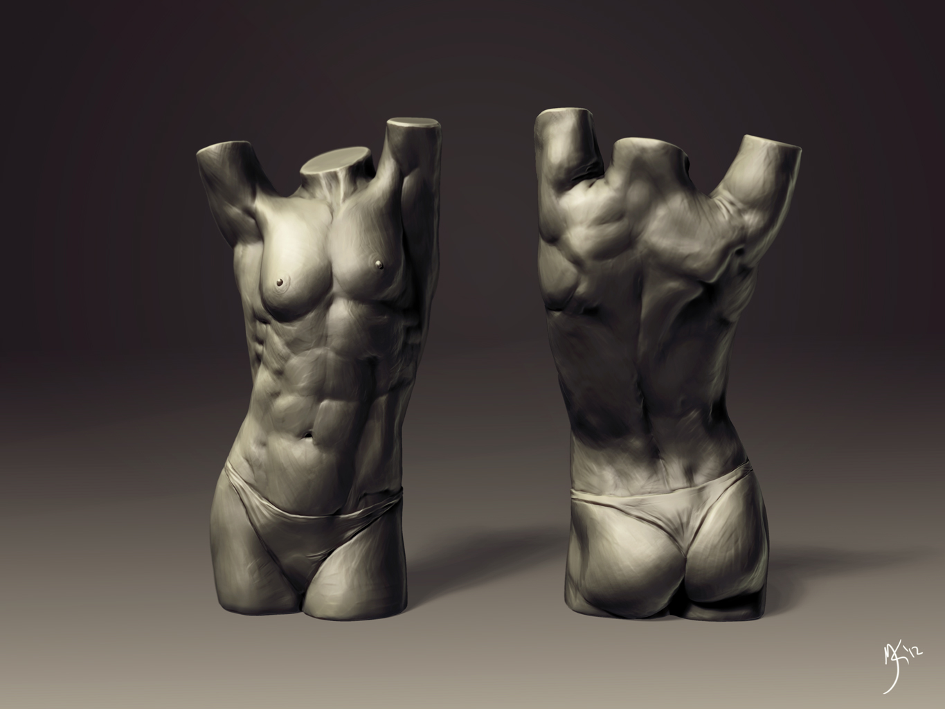 02_FemaleTorso_web.jpg