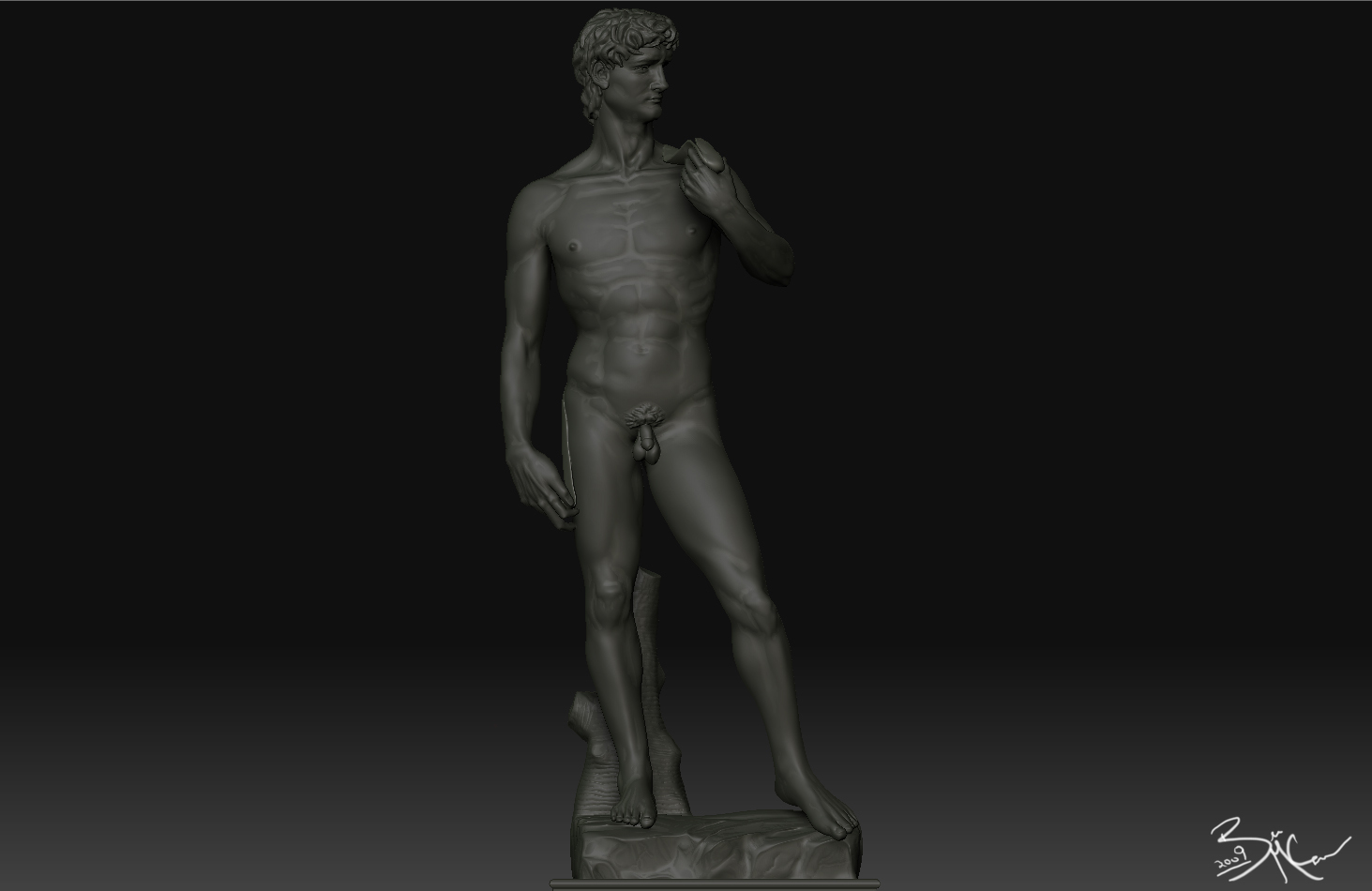 David5.jpg