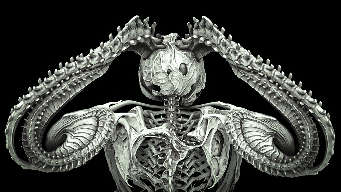 bonesgrey2