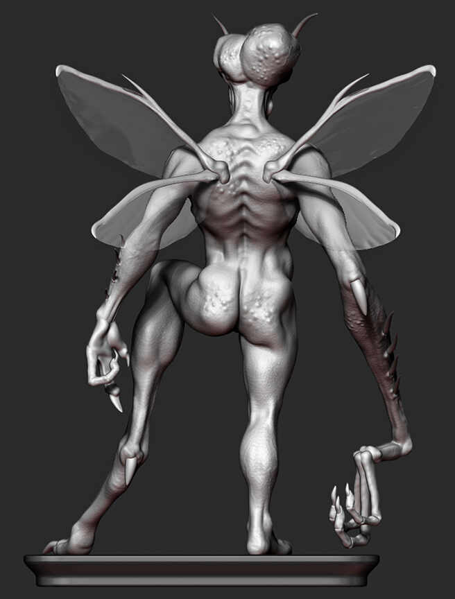 Fly02