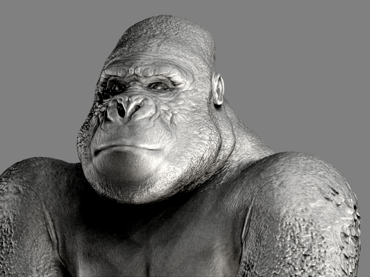 gorilla_04.jpg