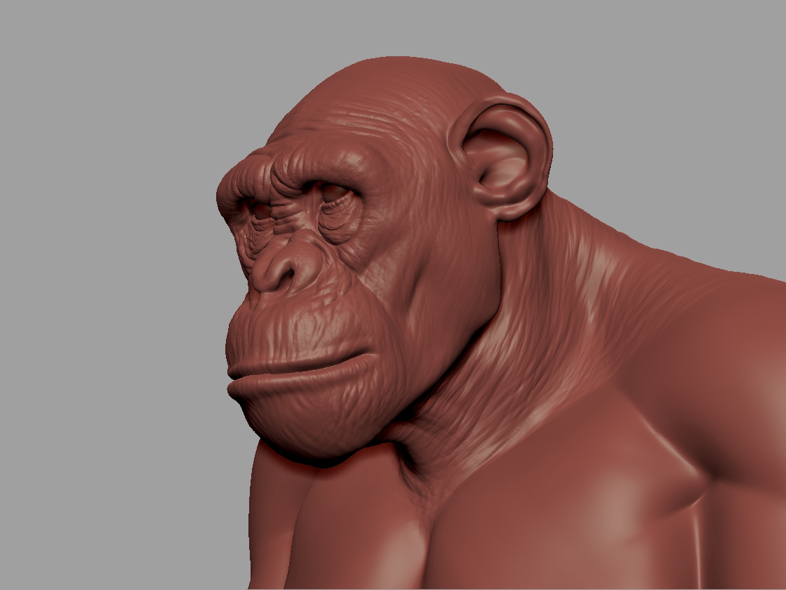 Chimp#1_02.jpg
