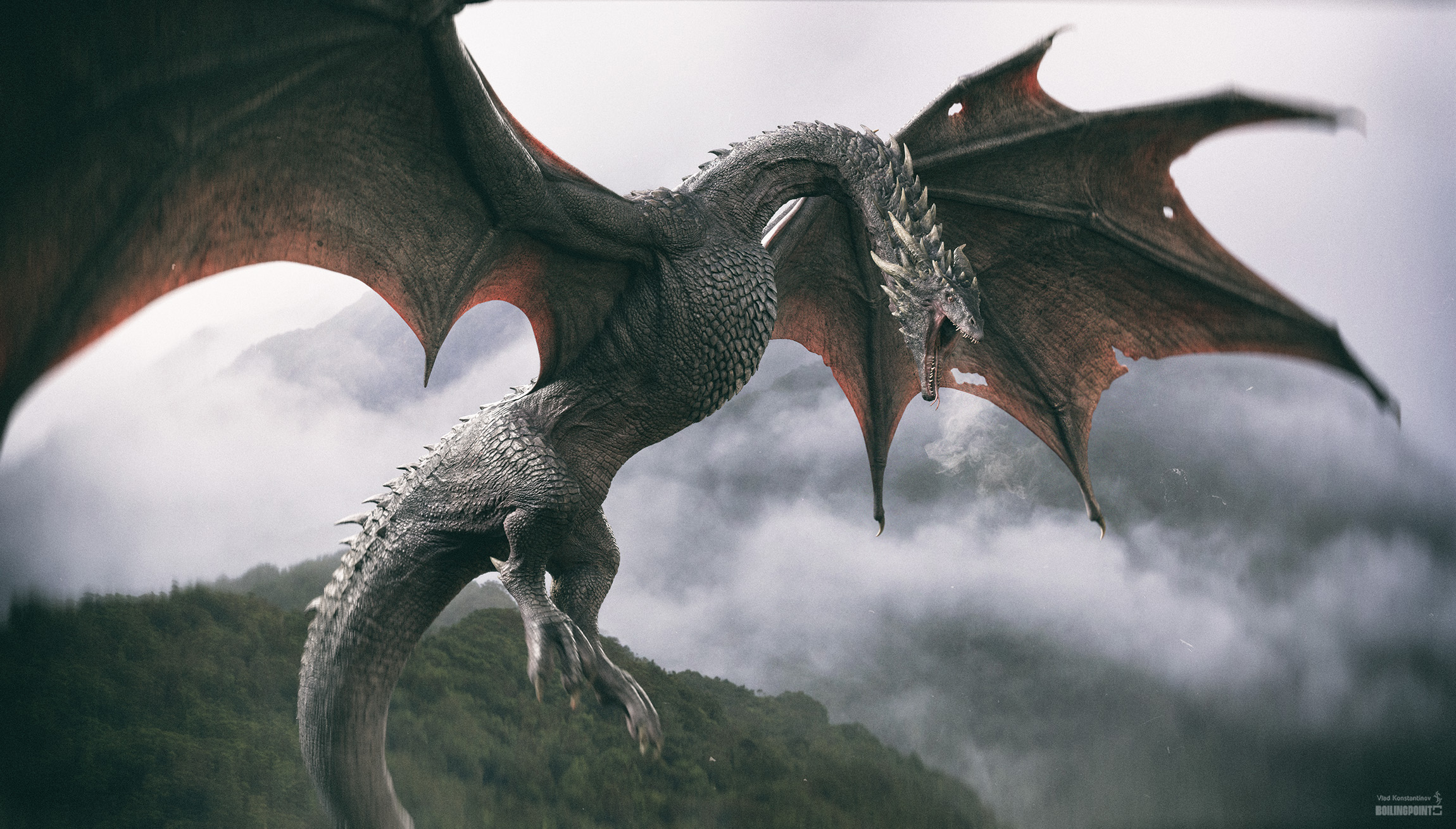 Dragon adventures fantasy pets. Дракон виверна. Венгерская хвосторога дракон.