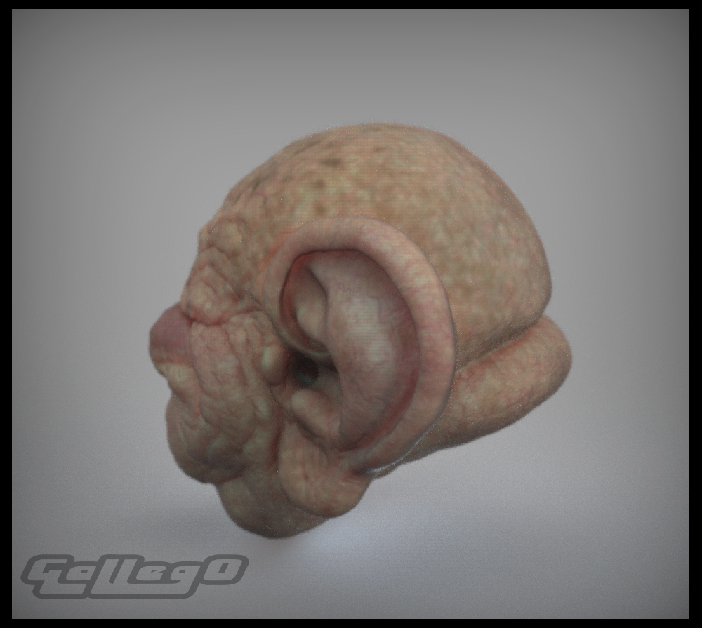 compops_3.jpg