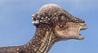ZBCthumb10.jpg