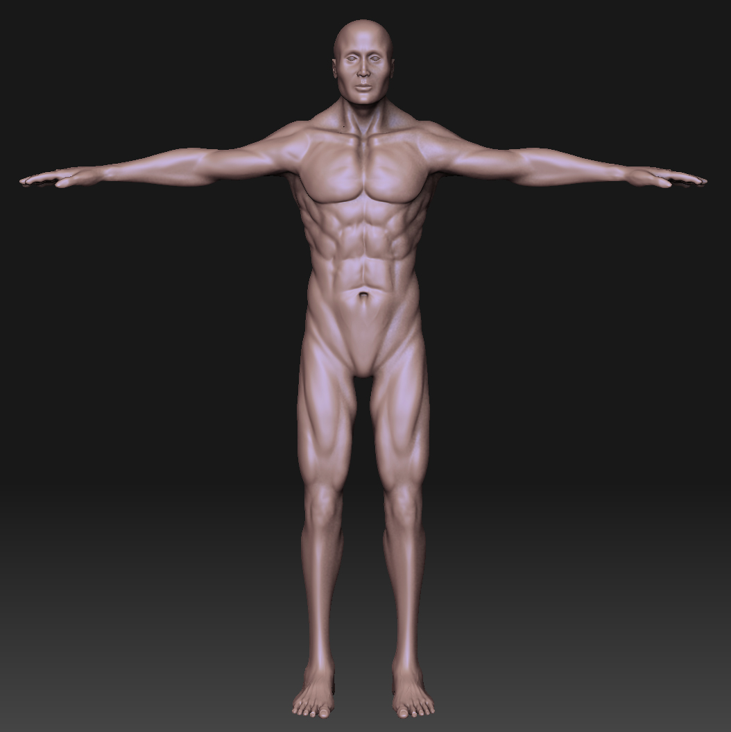 HumanAna.jpg