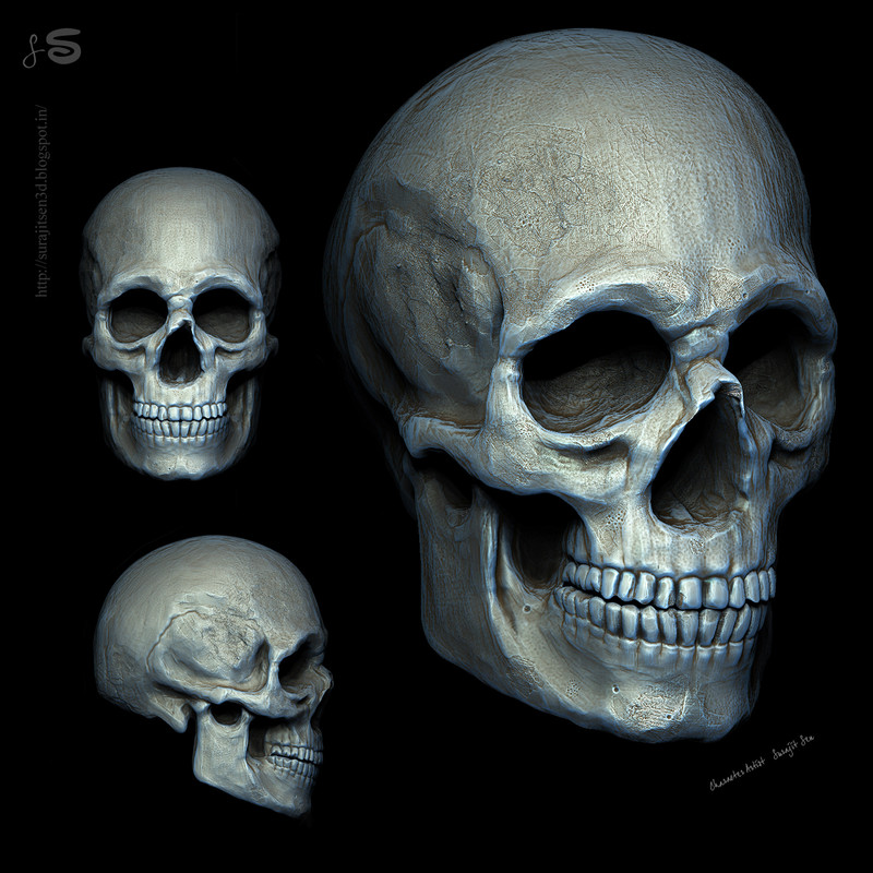 Human_Skull_Sculpt_Study_Surajit_Sen_07012018_L.jpg