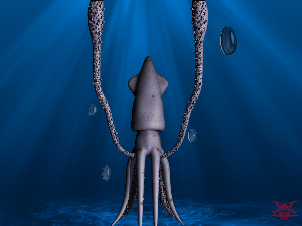 Squid Final 01.jpg