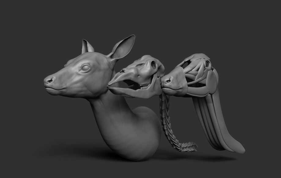 Deer _render _v004