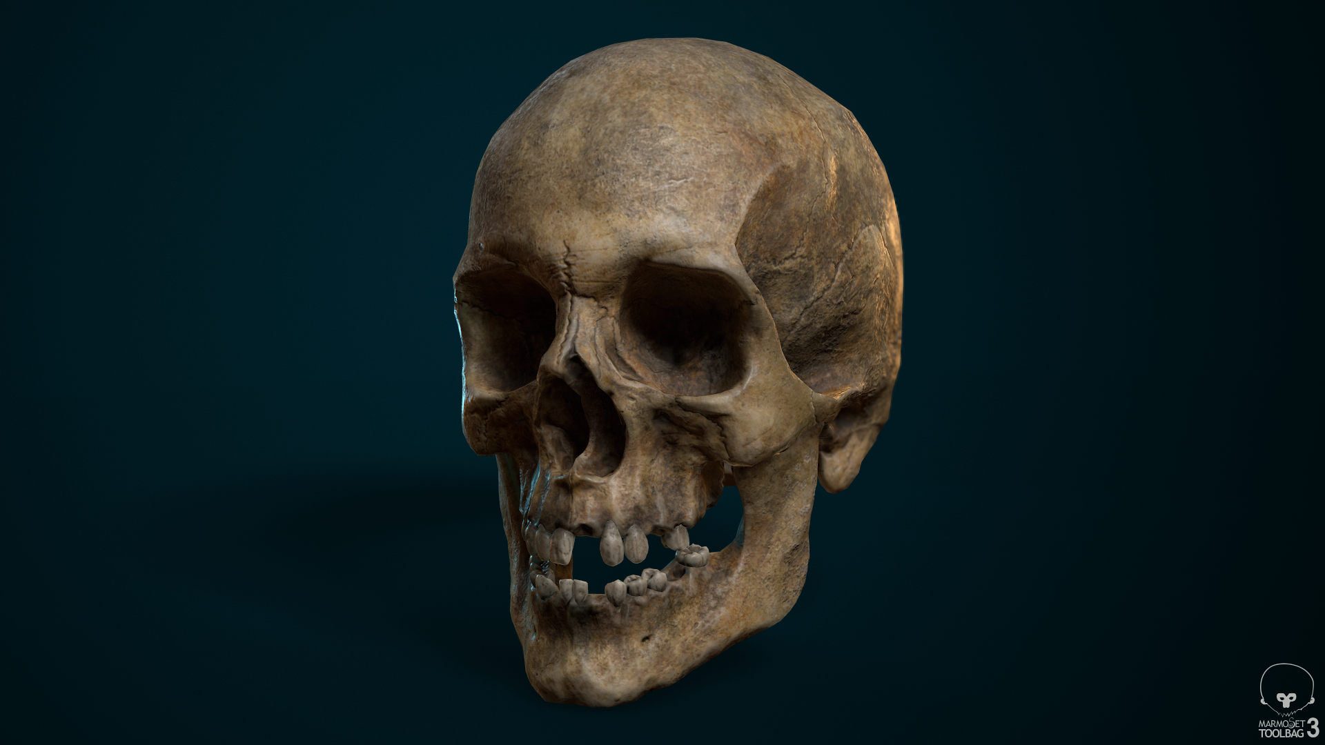 Skull_quarterView_01