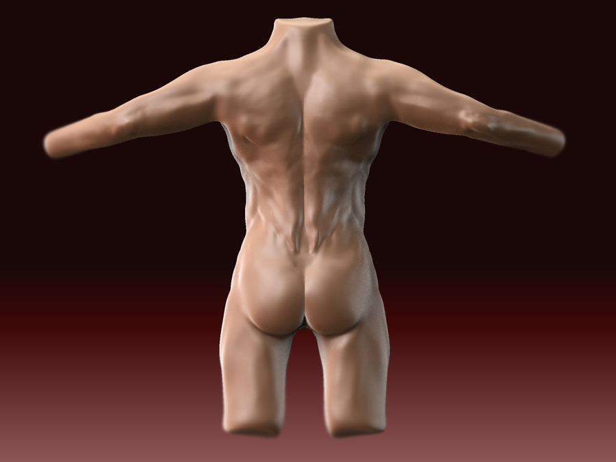 back_2.jpg
