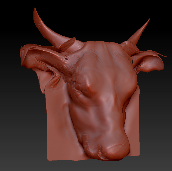cow4.jpg