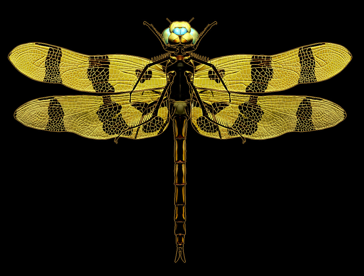 C_eponina_render_010.jpg