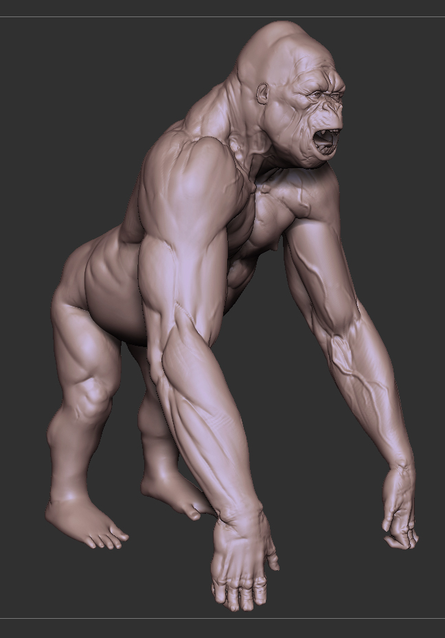 ape.jpg