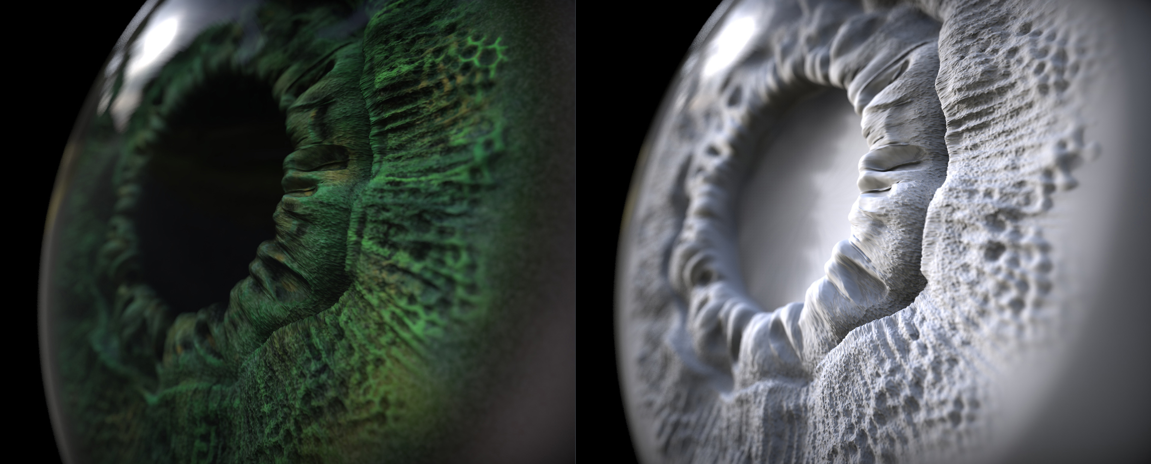 eye compae.jpg