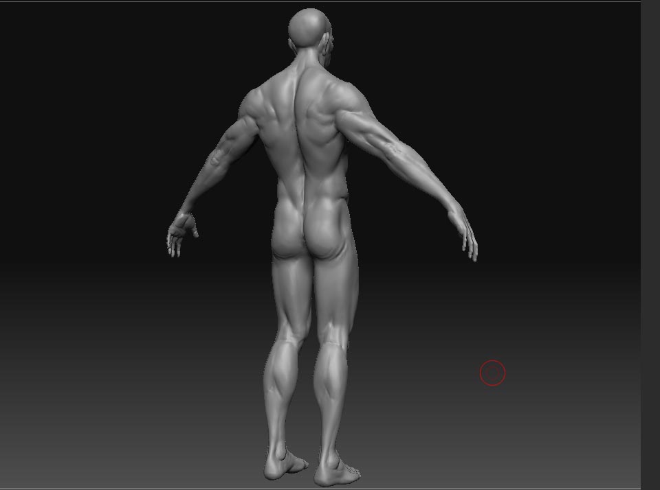 midlleeyewip_23.jpg