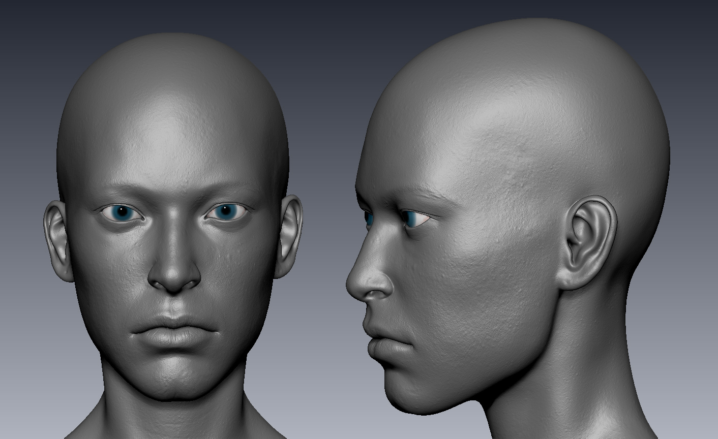 femaleWip01.jpg