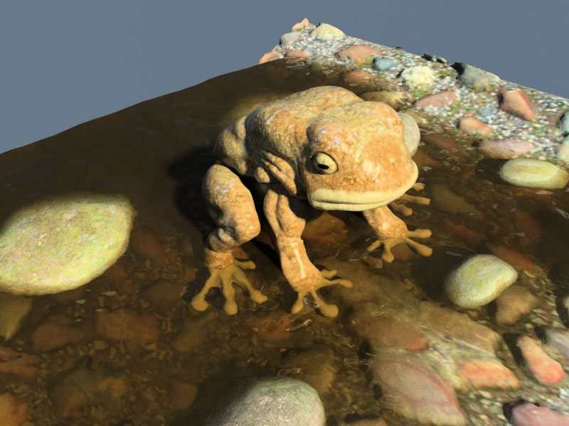 max_render_12.jpg