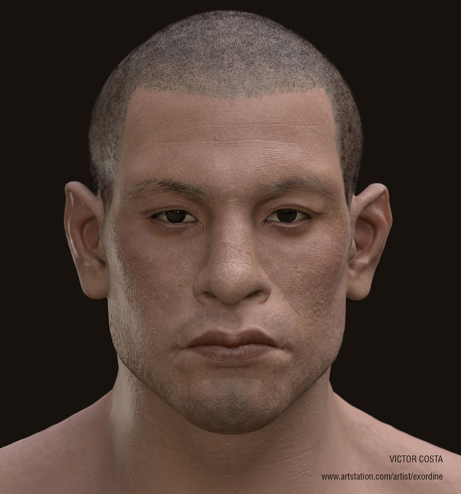 head-comp.jpg