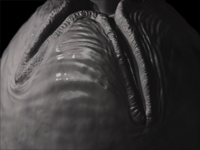 Alien Egg5.jpg
