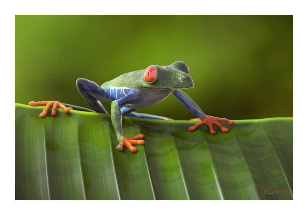 frog_small.jpg