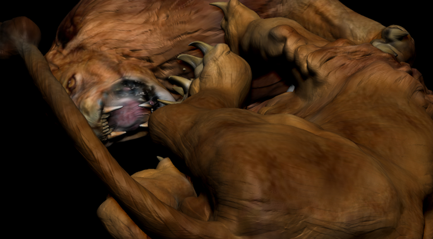 LION FIGHT 19.jpg