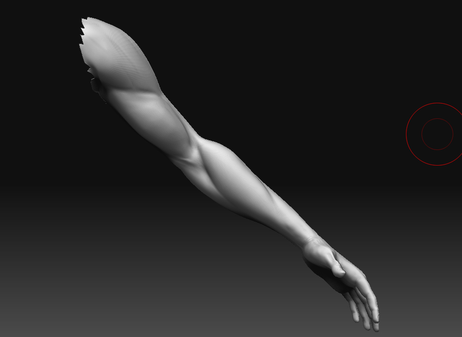 arm front.jpg