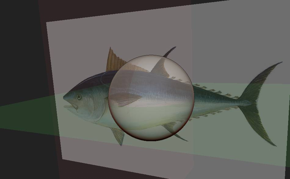 Fish.jpg