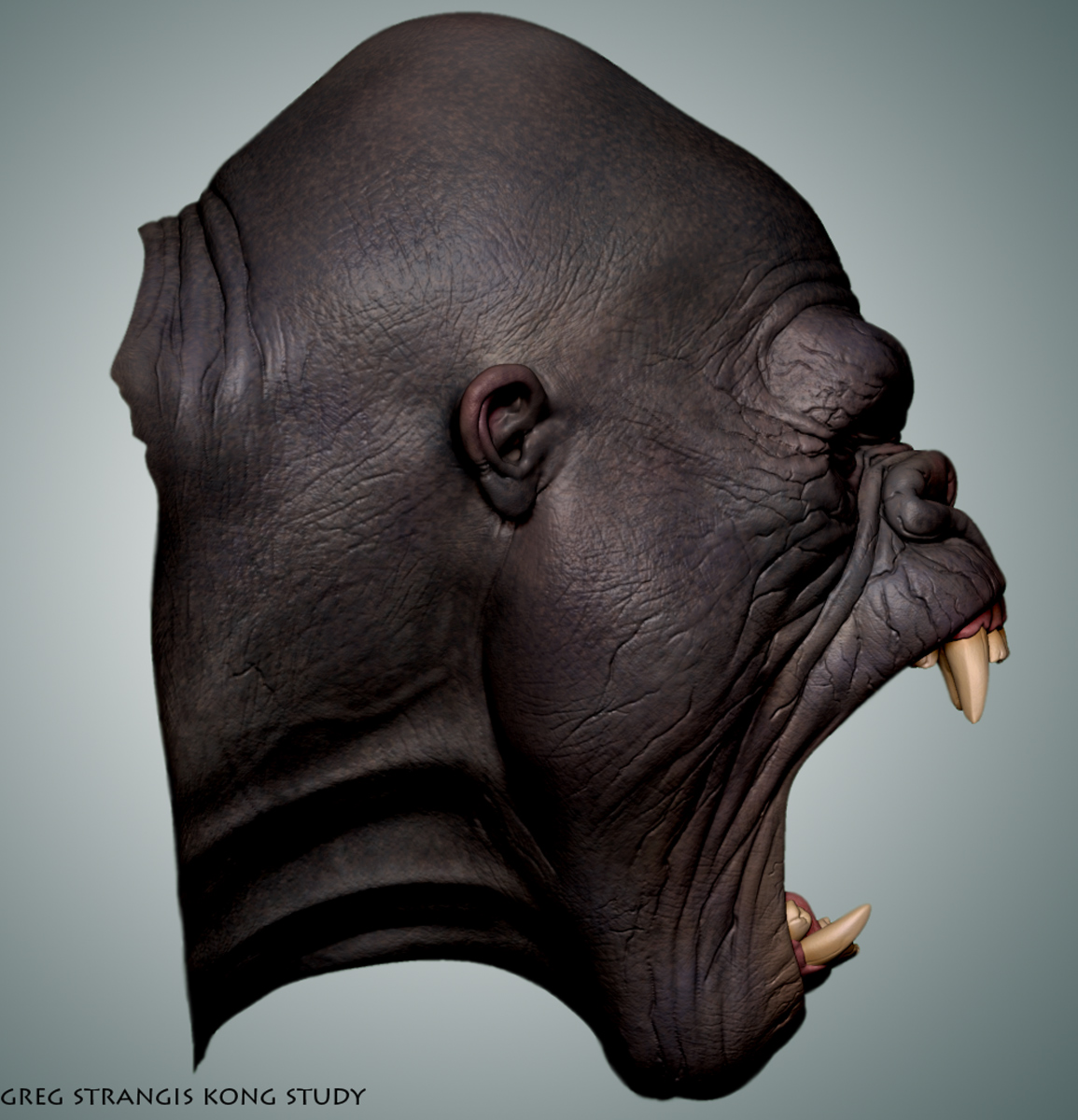 Side-Shot.jpg