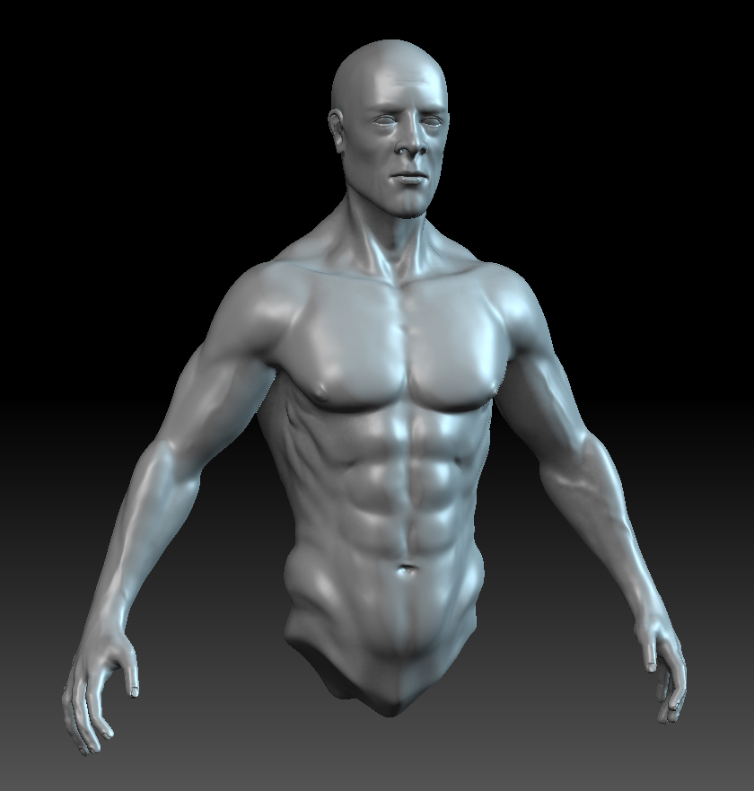 Head_Torso_arms_hand_02.jpg