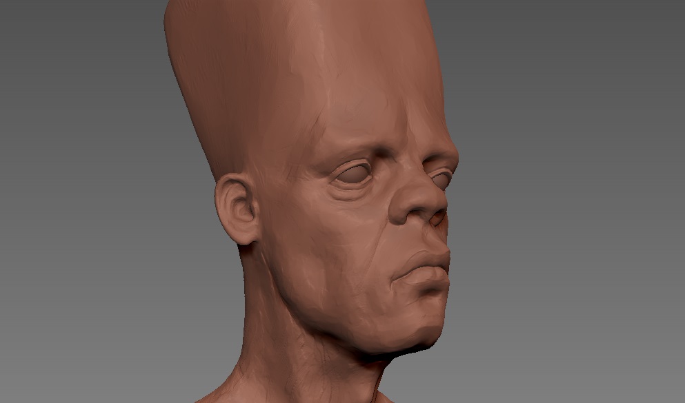 squarehead close up.jpg