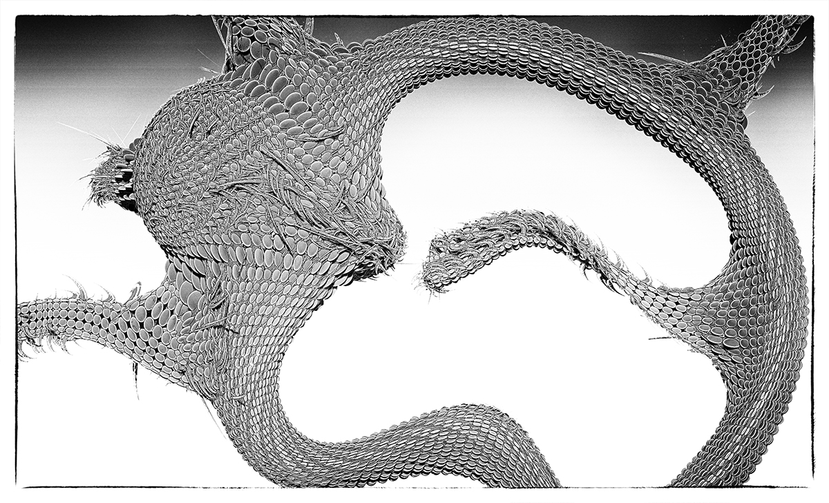 BatShape.jpg