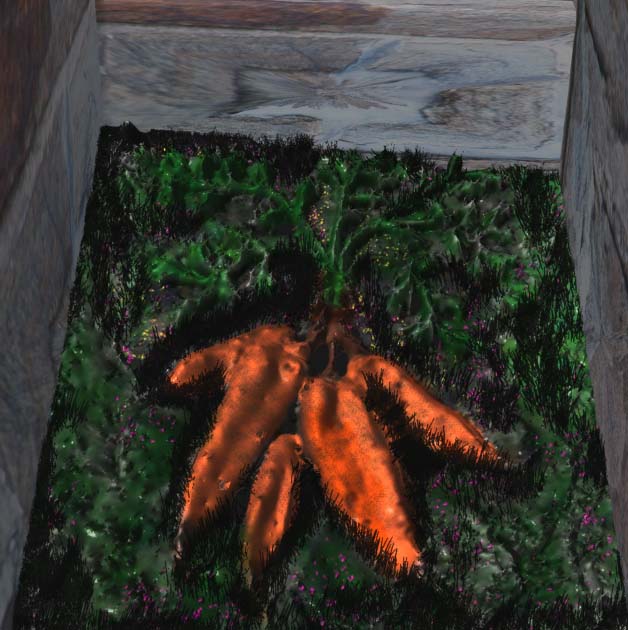 carrot oo.jpg