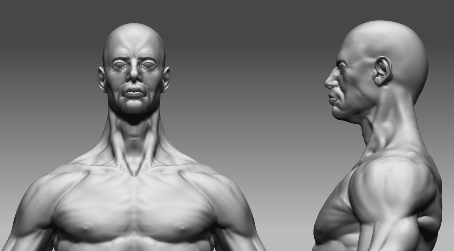 anatomy_study_face_WIP.jpg