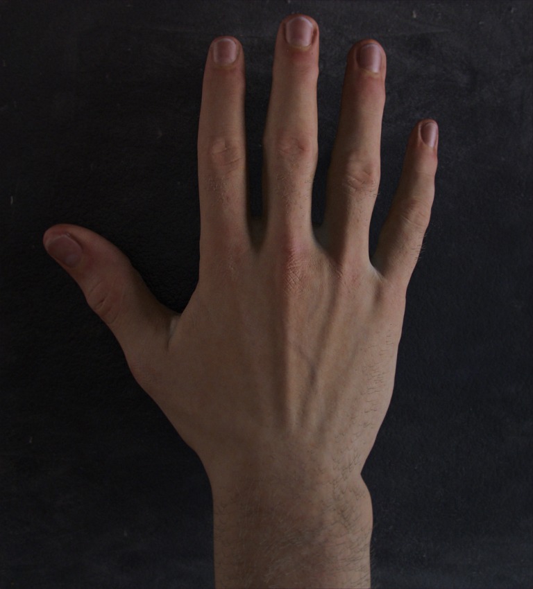 hand_back.jpg