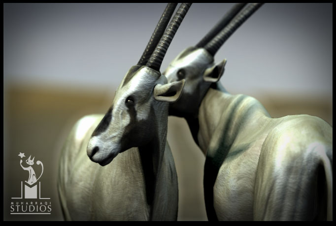oryx22.jpg